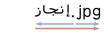 テキスト全体の書字方向は欧文としての書字方向（左から右）だが、アラビア文字部分は右から左に表記