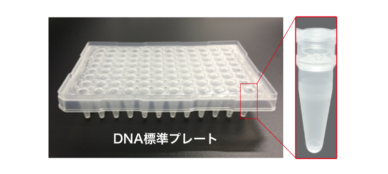 DNA標準プレート